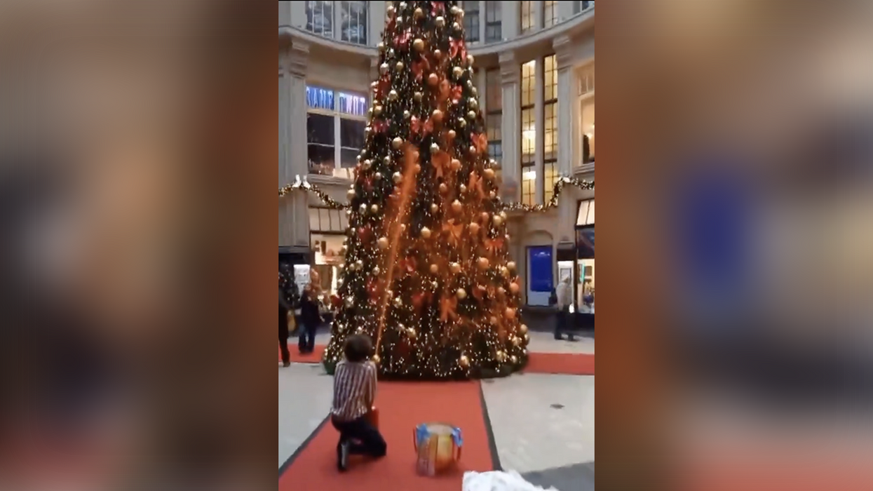 Watch: Extremists Are Attacking Christmas Trees Now, In The Name Of Saving The Climate