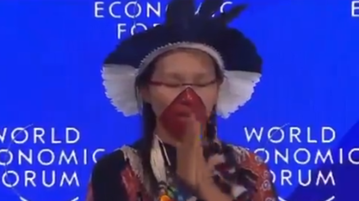 Not sure who this indigenous specimen is from WEF, but it didn't stop Elon Musk from having a field day with her on X