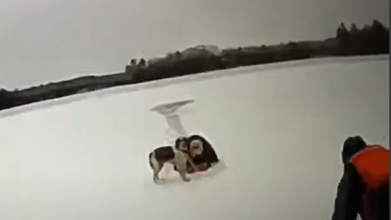 Watch: Pooch Makes Heroic Rescue, Saves Elderly Man From Drowning In Ice