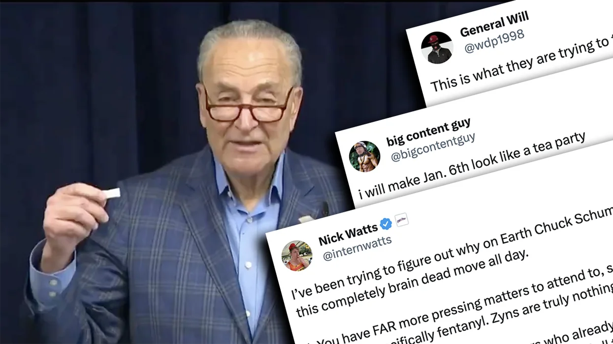 Chuck Schumer demands a ban on Zyn, creates a powerful new enemy for Dems: "This is 9/11 for frat guys"
