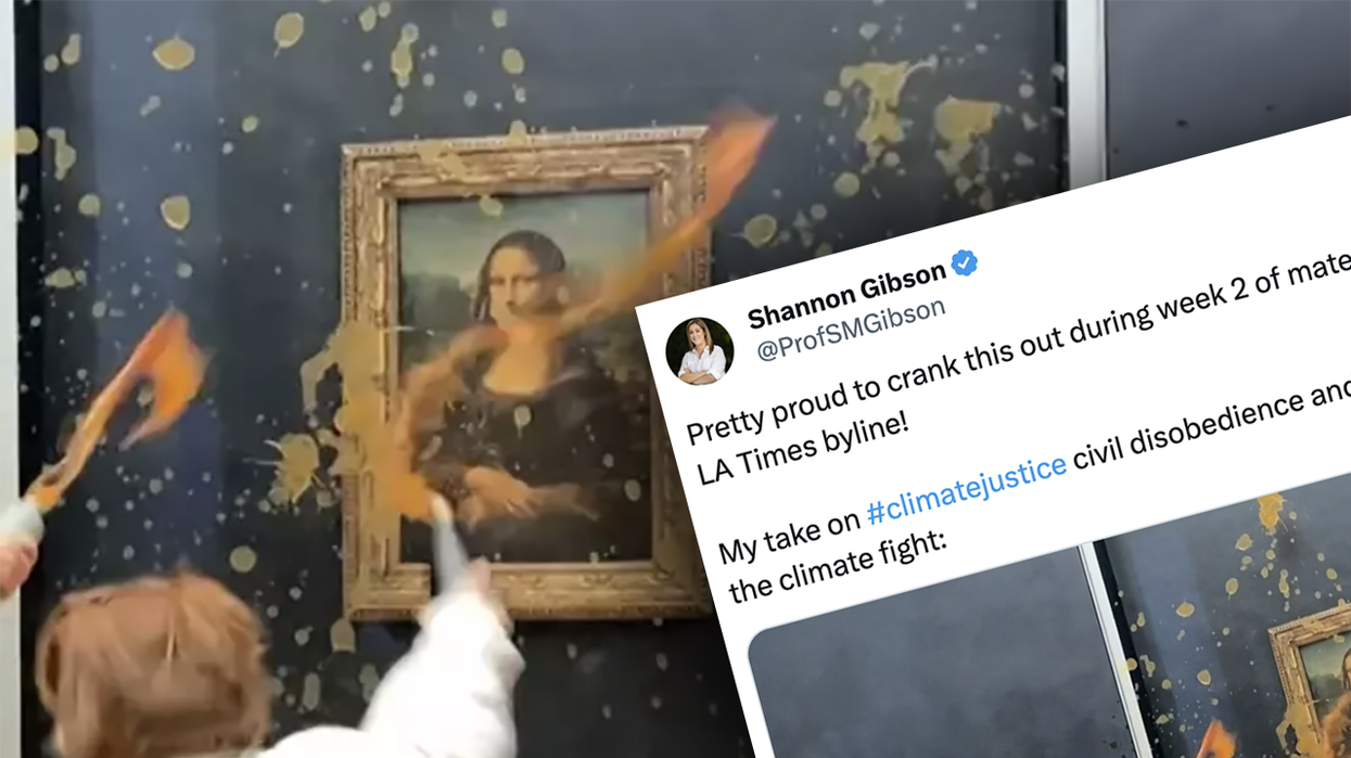 Someone the LA Times DIDN'T lay off wants you to believe throwing soup at the Mona Lisa helps fight climate change