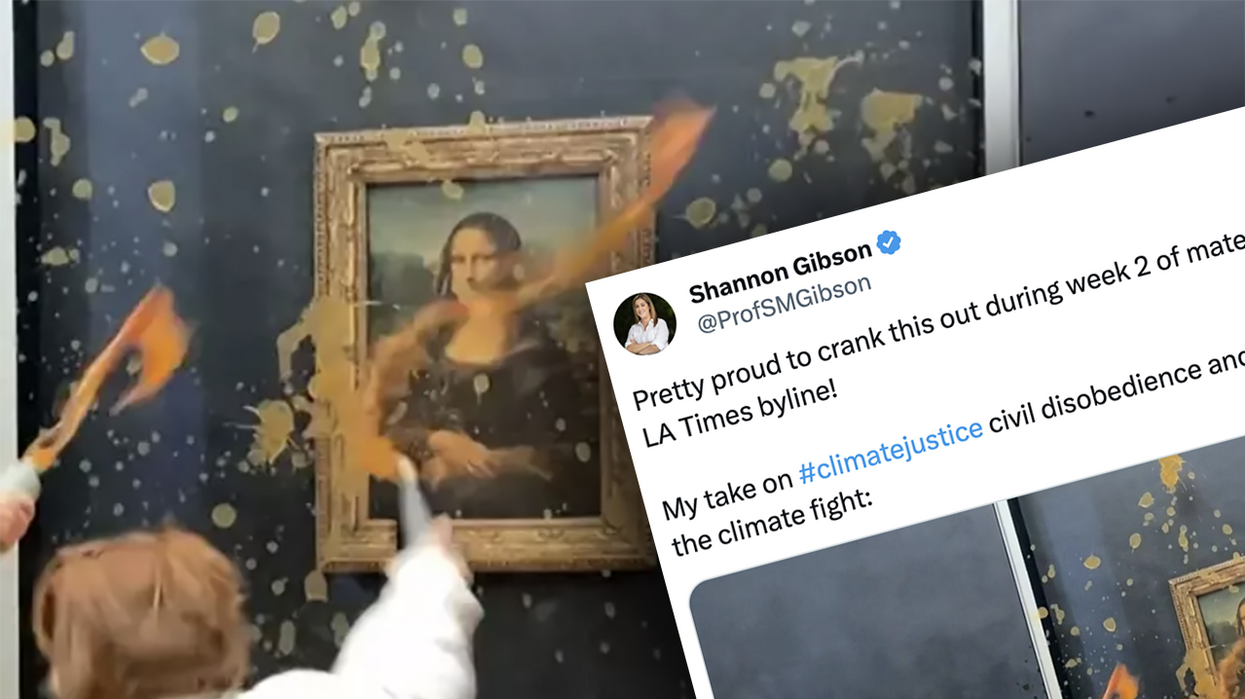 Someone the LA Times DIDN'T lay off wants you to believe throwing soup at the Mona Lisa helps fight climate change