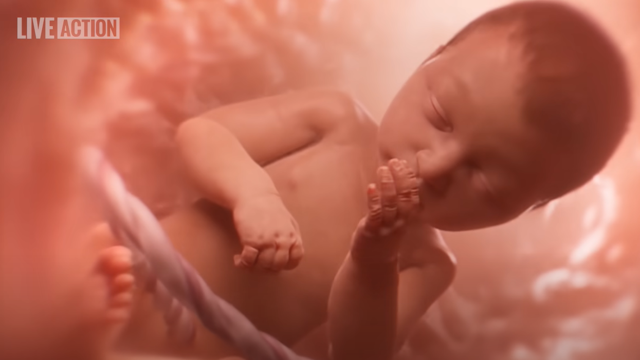 Pro-Choice doctor declares life-like fetal development video the "last thing kids need to be watching"