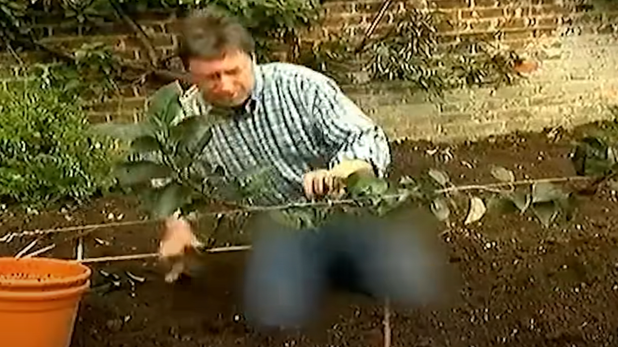 Watch: North Korea Censors Jeans On British Gardening Show To Reject, Quote, "American Imperialism"