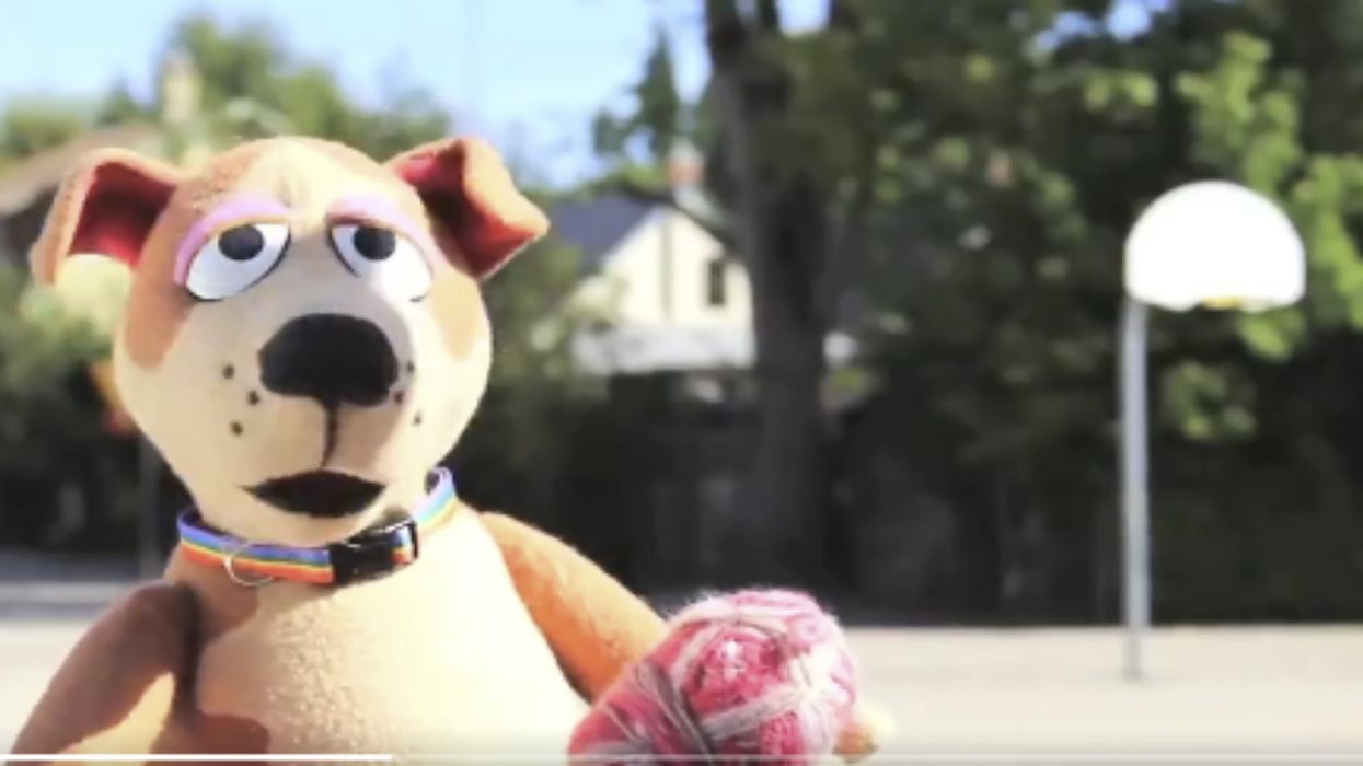 Watch: 4th graders shown this video claiming a dog can identify as a cat in another deranged attempt to promote gender ideology