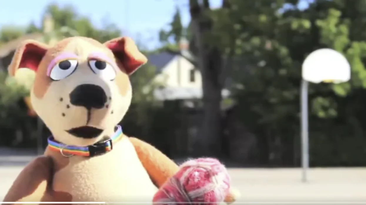 Watch: 4th graders shown this video claiming a dog can identify as a cat in another deranged attempt to promote gender ideology