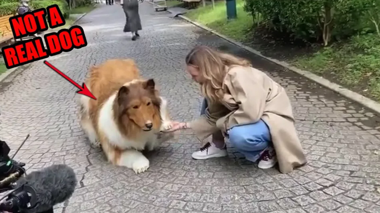 That dude who paid $14k to turn himself into a dog? He's changed his mind after realizing how difficult a dog's life is