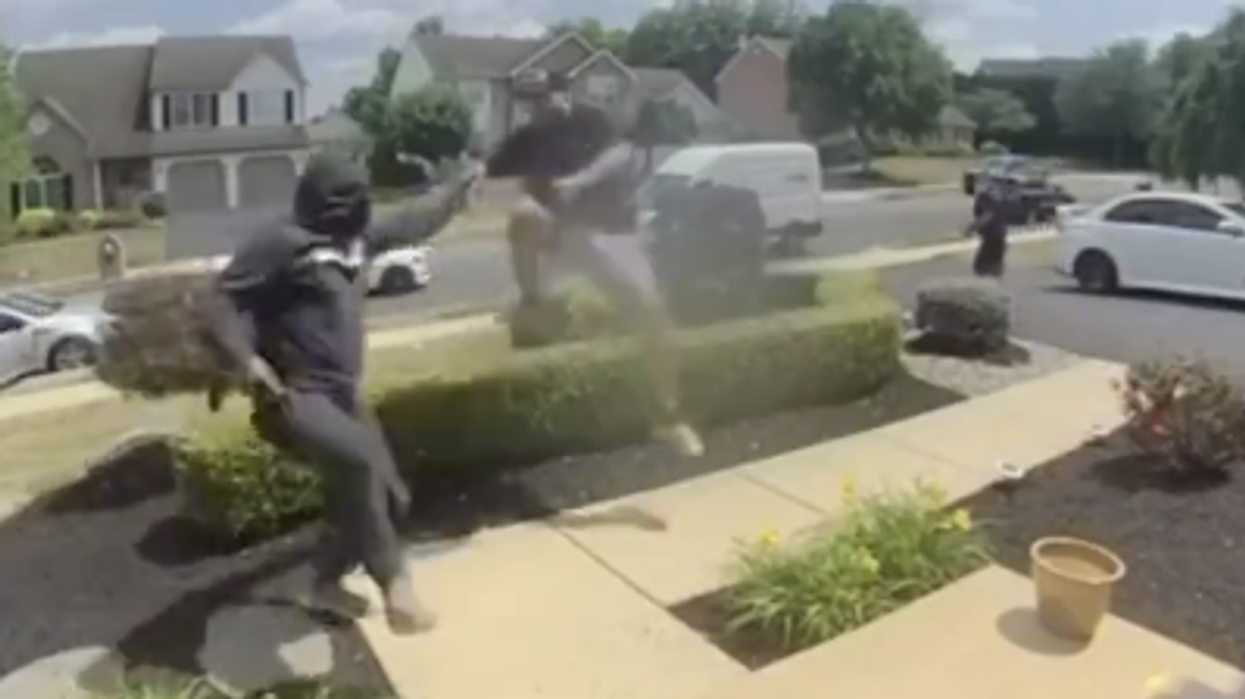 Watch: Insane scene shows rival porch pirates roll up, fight over stealing the same package
