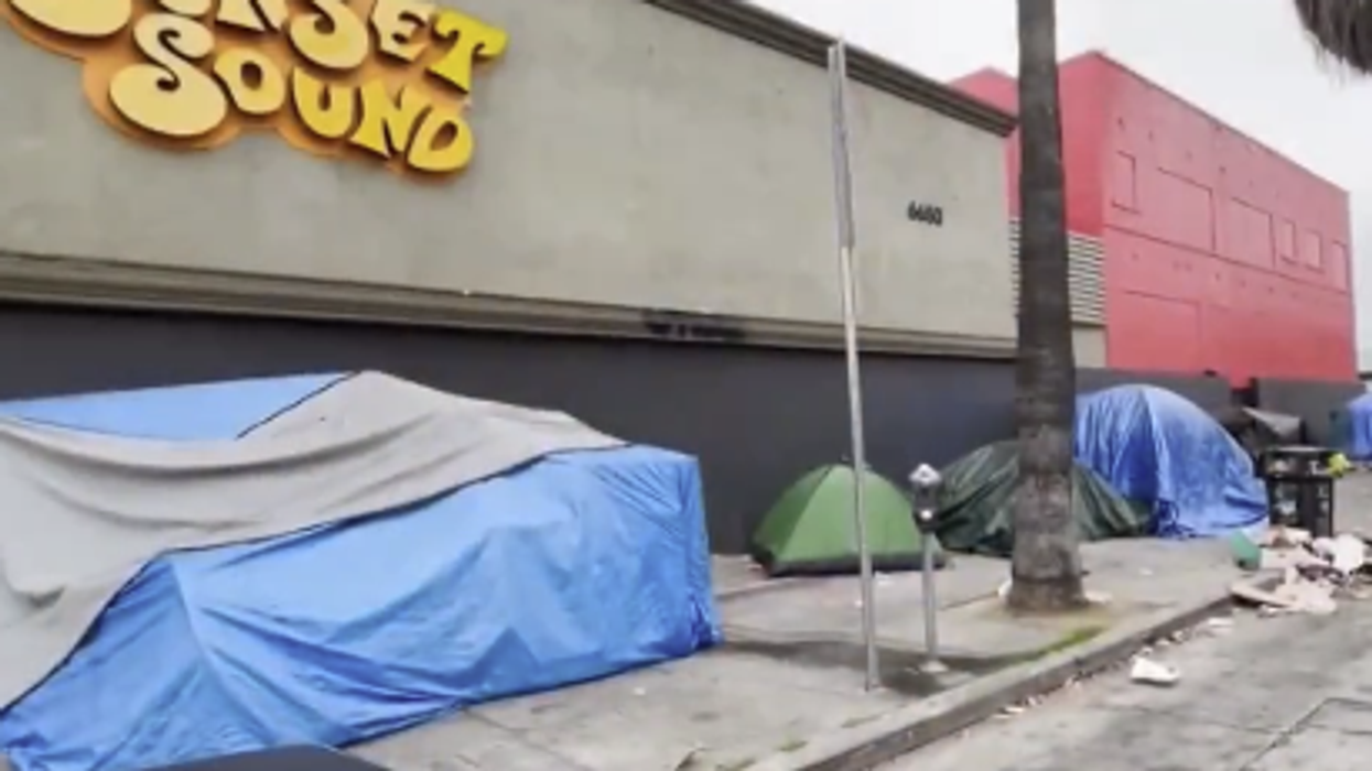 Watch: Business owners planted flowers to block homeless encampments, so of course LA tore them down