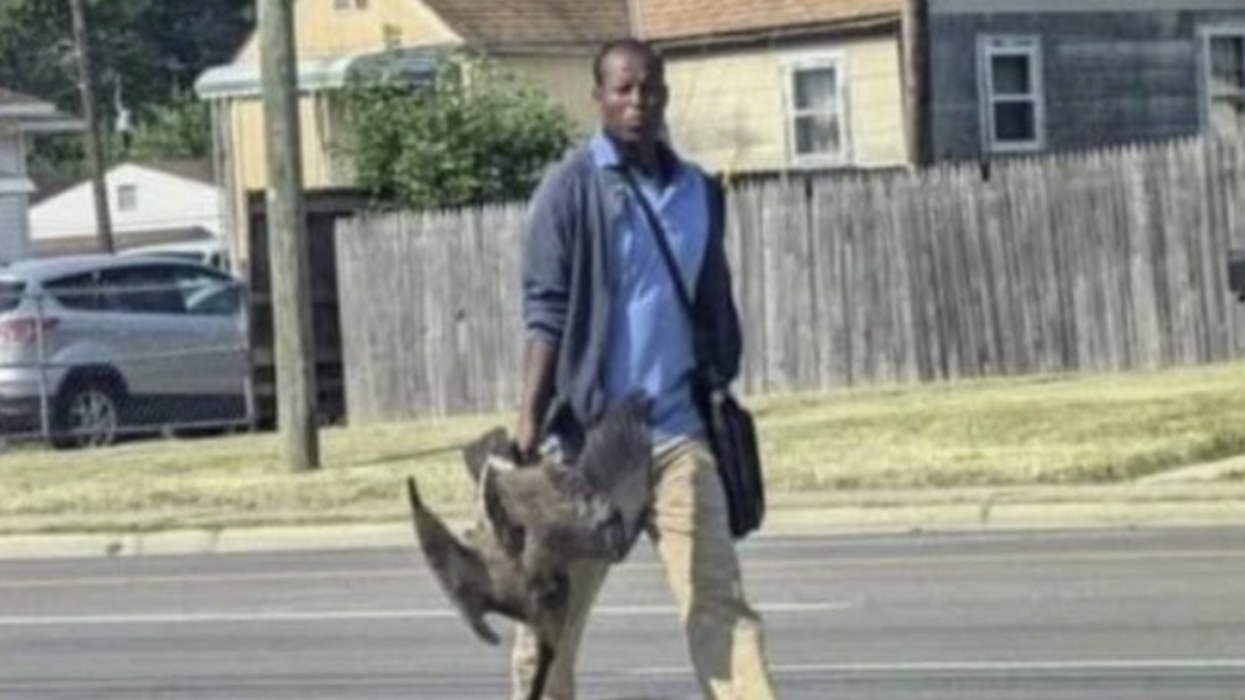 Springfield, Ohio Residents Warn Haitians Are Decapitating Ducks And Eating Them