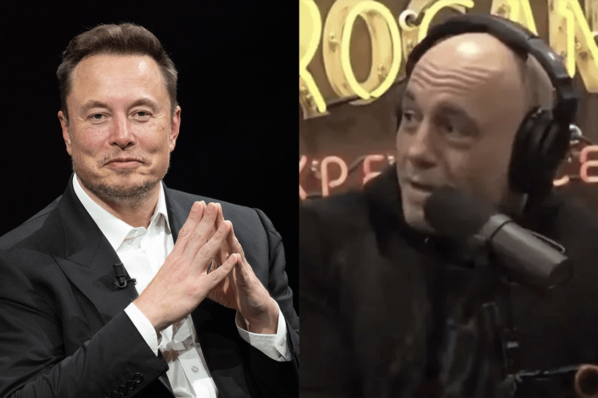 Elon Musk buying MSNBC? Joe Rogan is IN providing Cousin Elon gives him one specific job