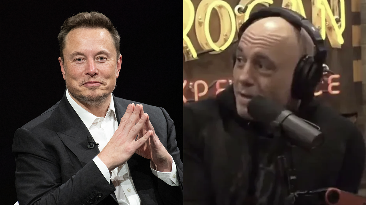 Elon Musk buying MSNBC? Joe Rogan is IN providing Cousin Elon gives him one specific job