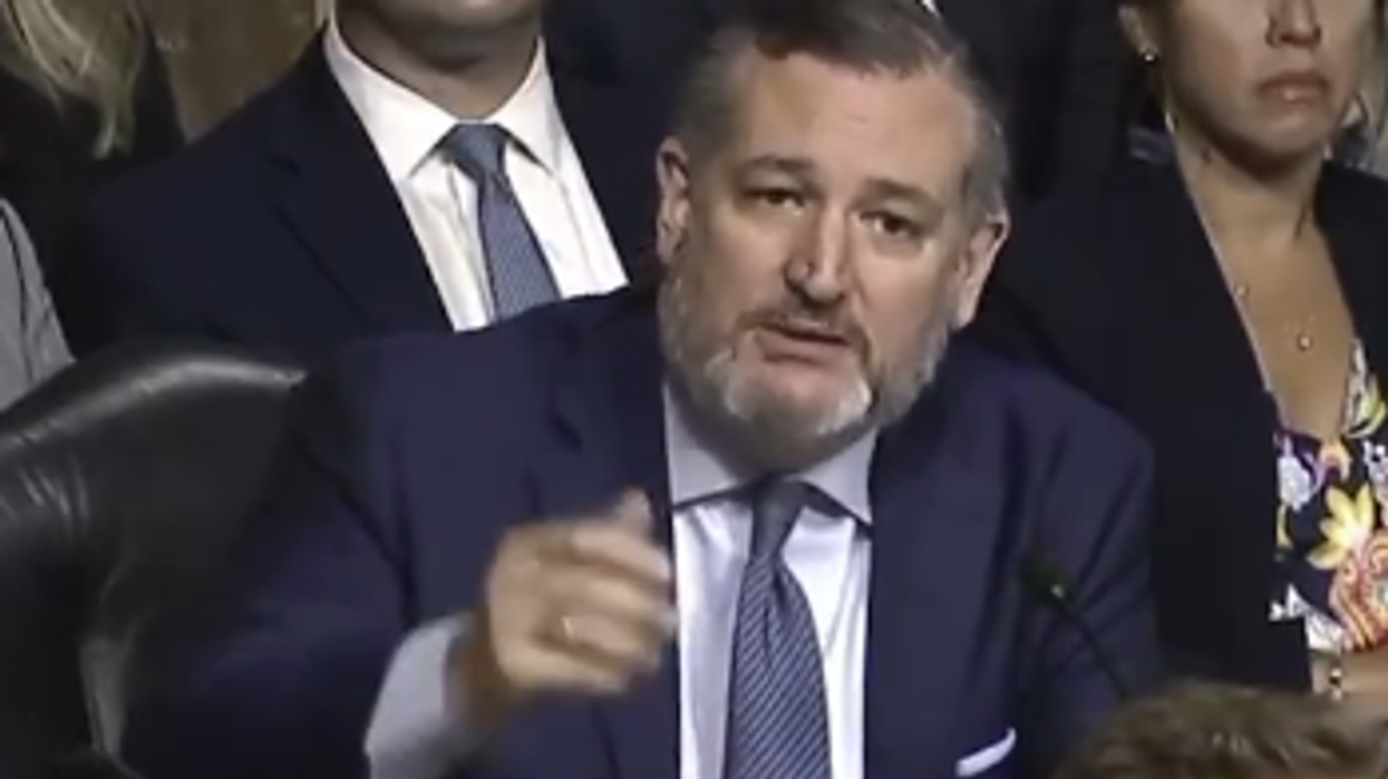 Ted Cruz Demolishes Witness With Basic Logic: “Why do women’s sports exist?”