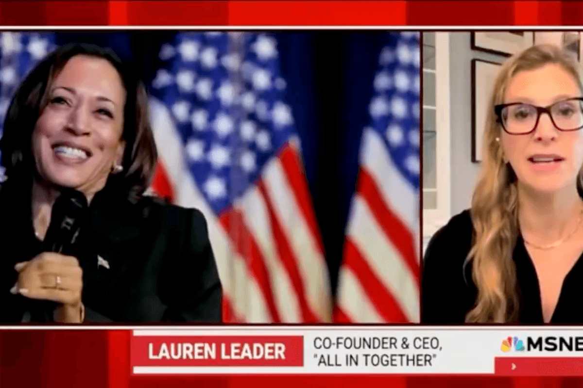 MSNBC guest demands we "acknowledge" Kamala Harris's "extraordinary" contributions, could only name one...