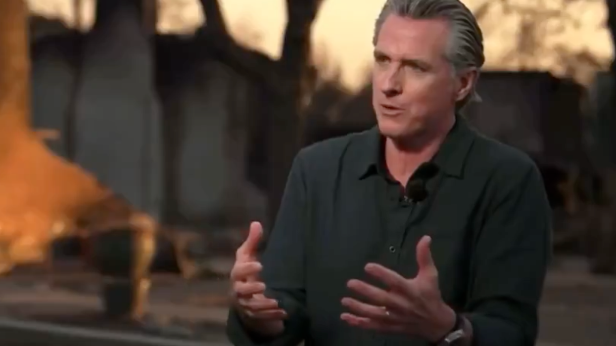 Gavin Newson admits he's using the wildfires as an excuse to "reimagine" what he calls "Los Angeles 2.0"