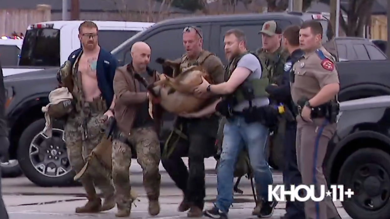 Watch: Police rush to action to save a K-9 who was shot chasing down a cop-killing suspect