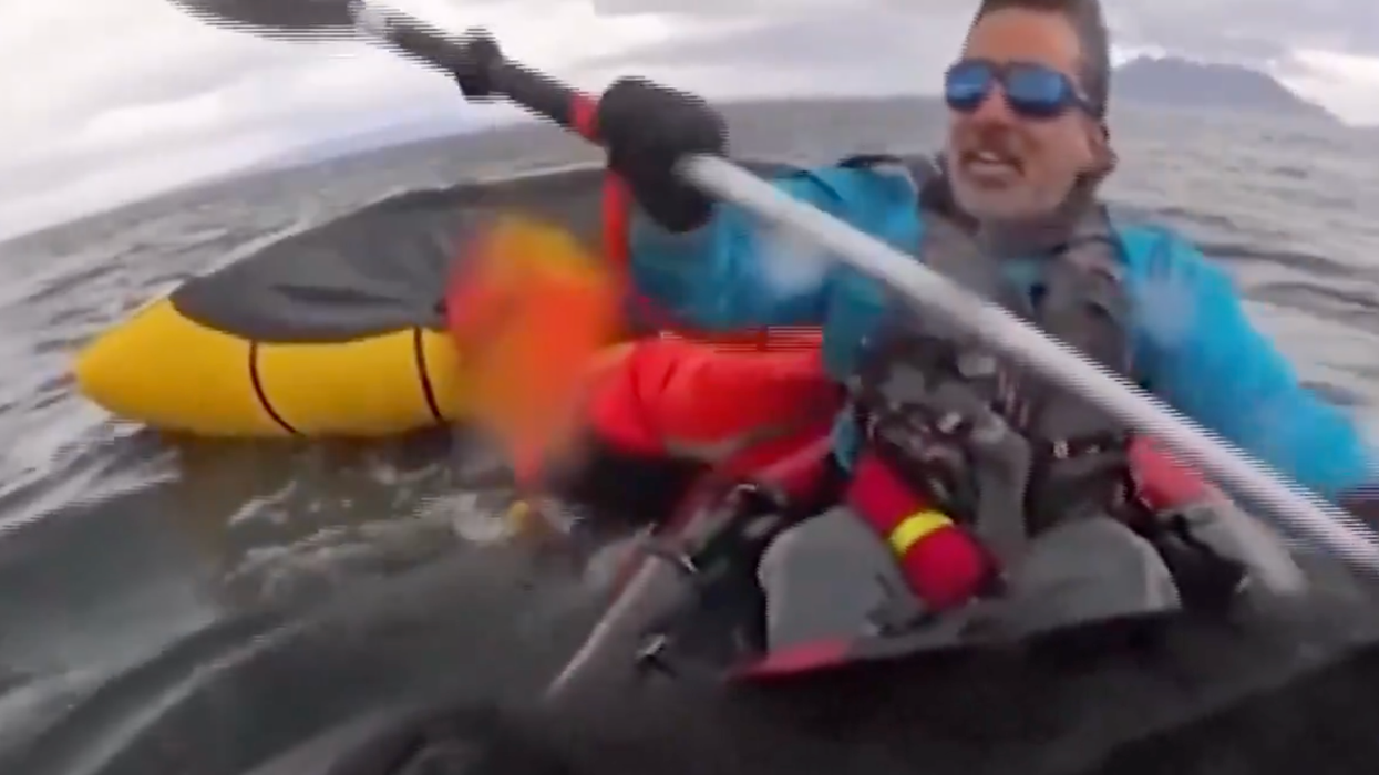 Father captures nightmare fuel moment his son is swallowed by a massive whale... before being spit back up