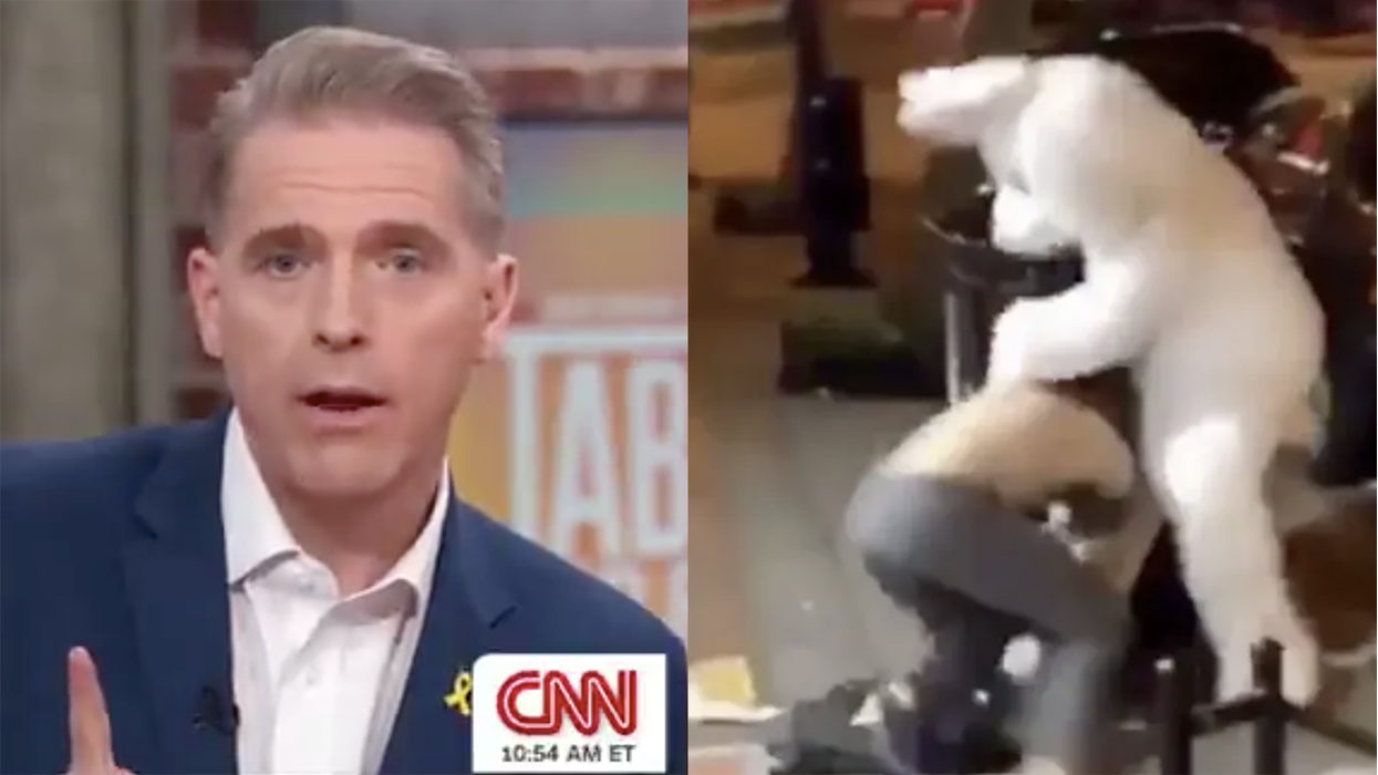 As CNN's Scott Jennings warns about adults dressed as rabbits, here's one pummeling some dude on these streets