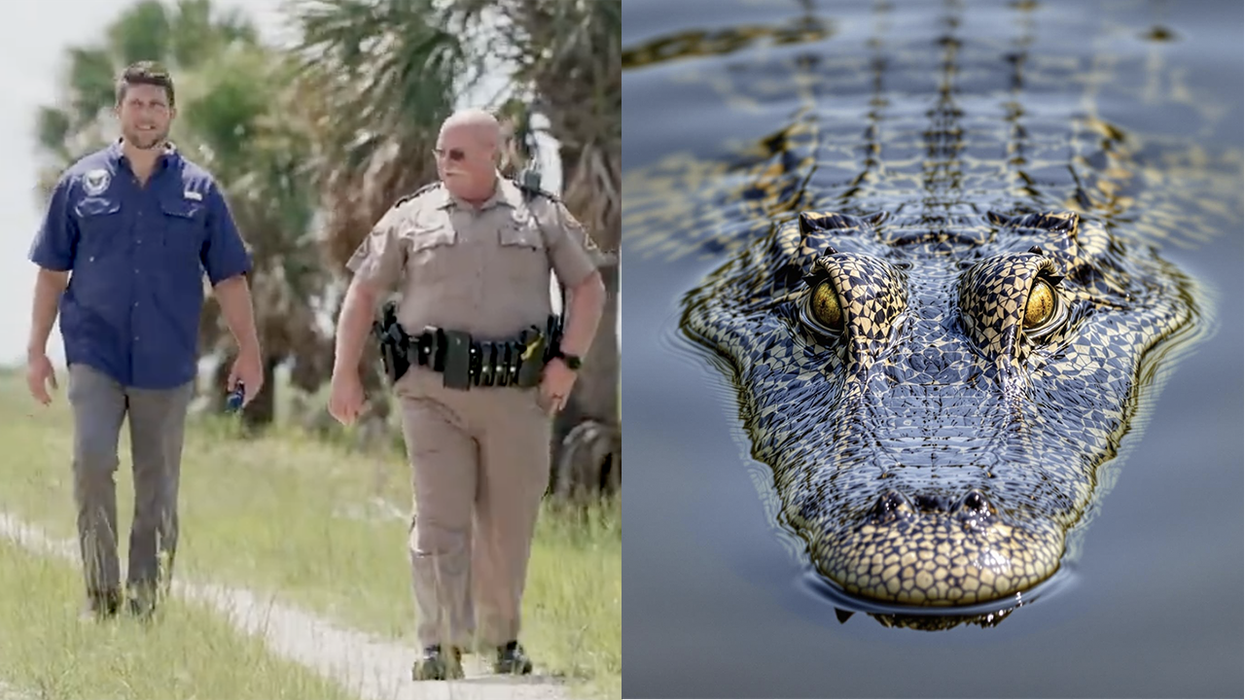 Florida announces illegal immigrant detention center surrounded by gators, and of course it's called "Alligator Alcatraz"