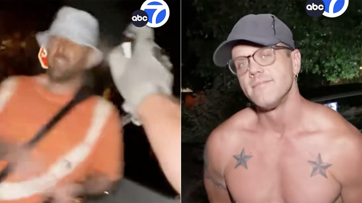 Hilarity ensues when neighbor catches serial mail thief with a can of mace: "Looked like Sloth had a baby with Shrek"