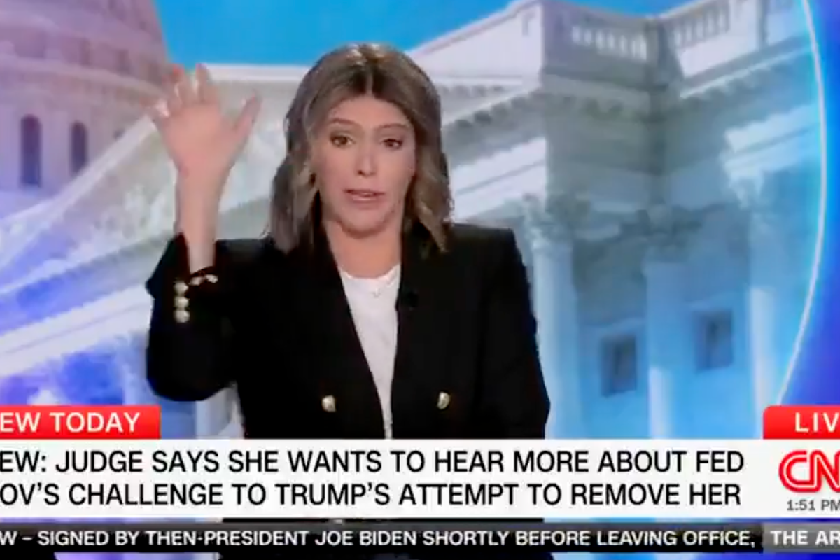 CNN's Kasie Hunt makes Trump's point on tariffs for him, laments she's now forced to "order from American companies"