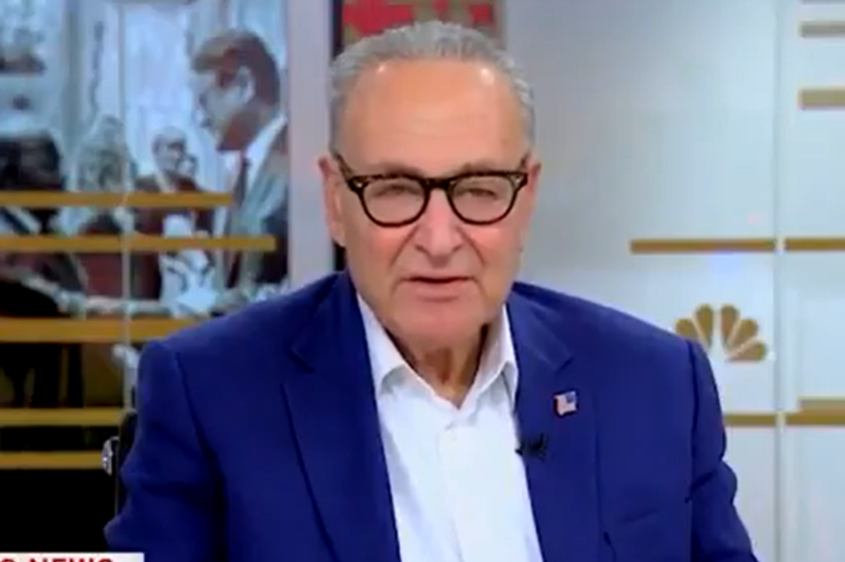 Chuck Schumer, in the wake of his party's anti-ICE rhetoric, uses ICE shooting to push his usual agenda