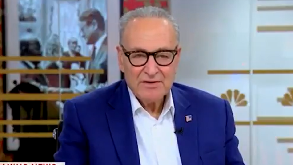 Chuck Schumer, in the wake of his party's anti-ICE rhetoric, uses ICE shooting to push his usual agenda