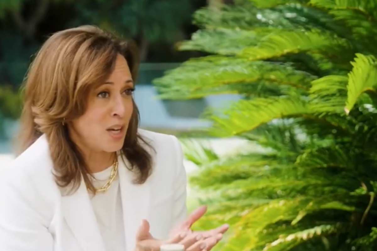 Kamala Harris Claims Without Evidence Rally Crowds Would ‘Pass’ Babies Around in Bizarre Ramble