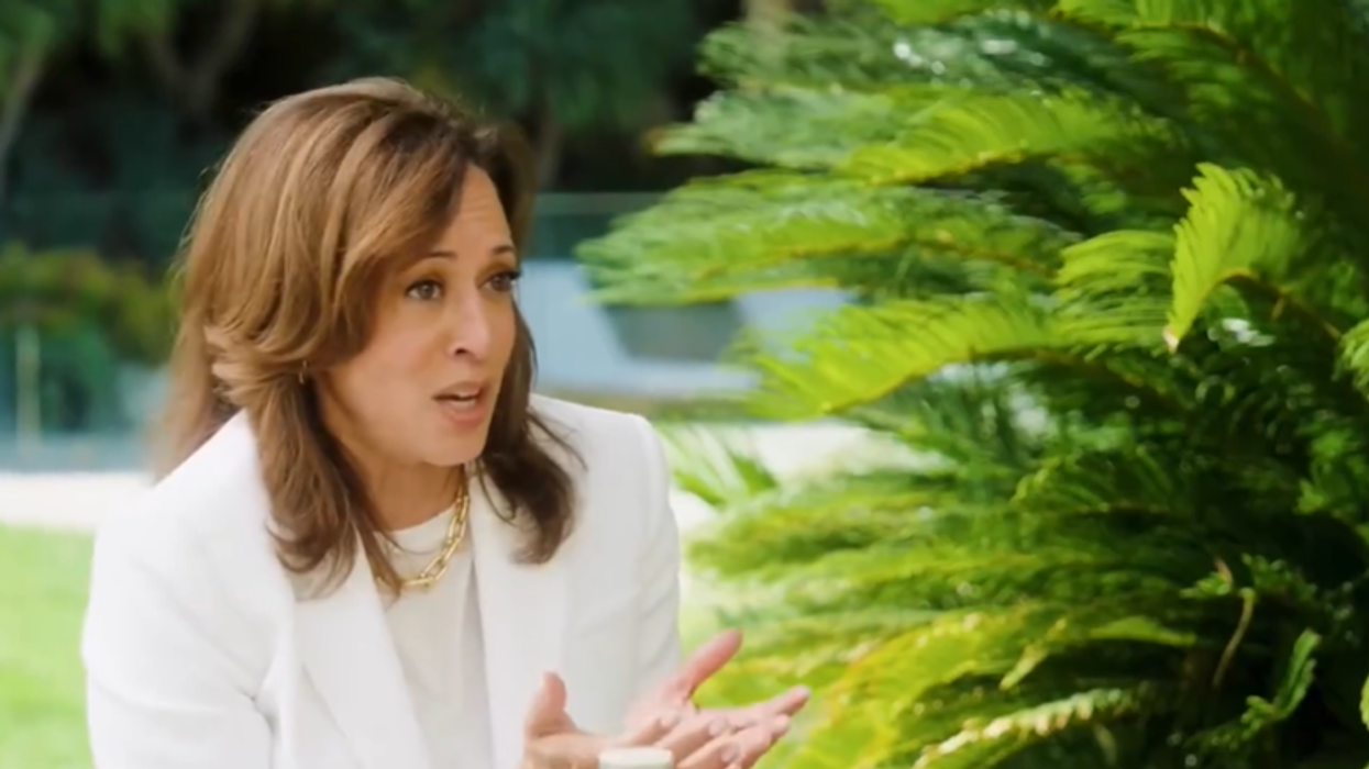 Kamala Harris Claims Without Evidence Rally Crowds Would ‘Pass’ Babies Around in Bizarre Ramble