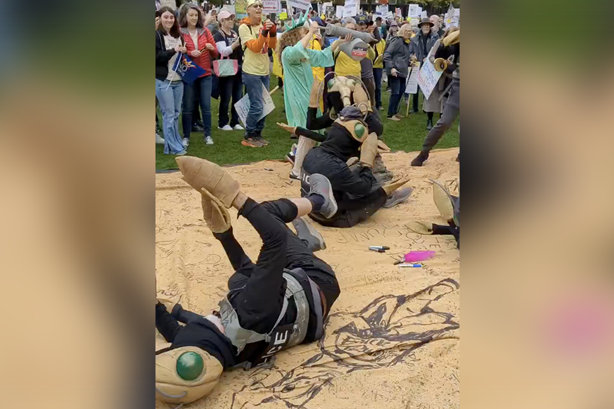 Democrats dress up as "LICE" agents and roll around on the Constitution, because "no kings" or something