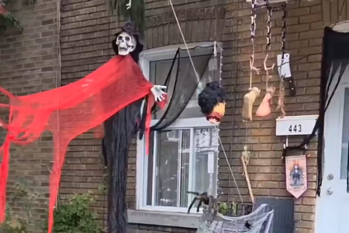 Migrant has major tantrum after seeing Halloween decorations, declares "f*** white people"