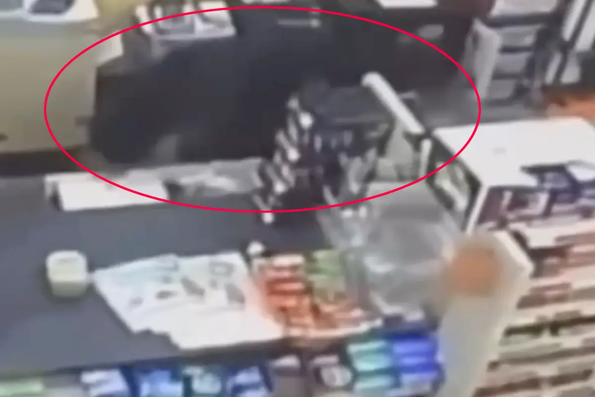 "I’m probably going to get eaten": Quick-thinking 11-year-old ducks into a dollar store to avoid being attacked by a black bear