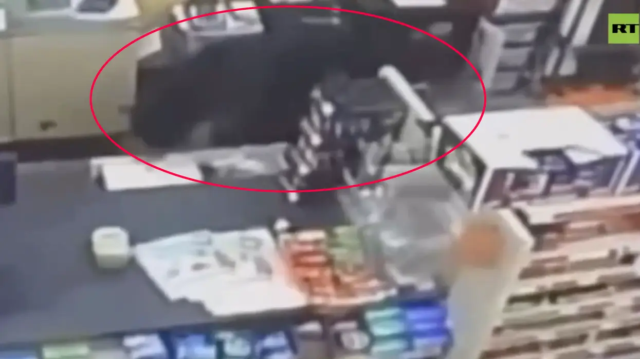 "I’m probably going to get eaten": Quick-thinking 11-year-old ducks into a dollar store to avoid being attacked by a black bear