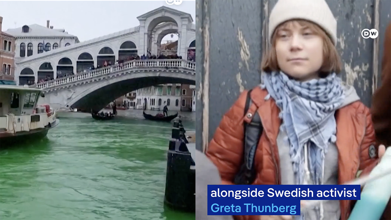 Greta Thunberg banned from Venice with other lunatics for turning the water green in the name of climate extinction