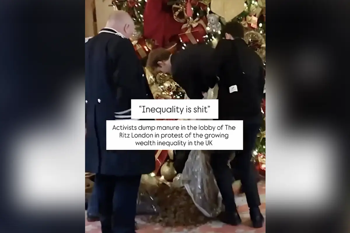 Activists protest people having more money than them by dumping manure on a hotel Christmas tree