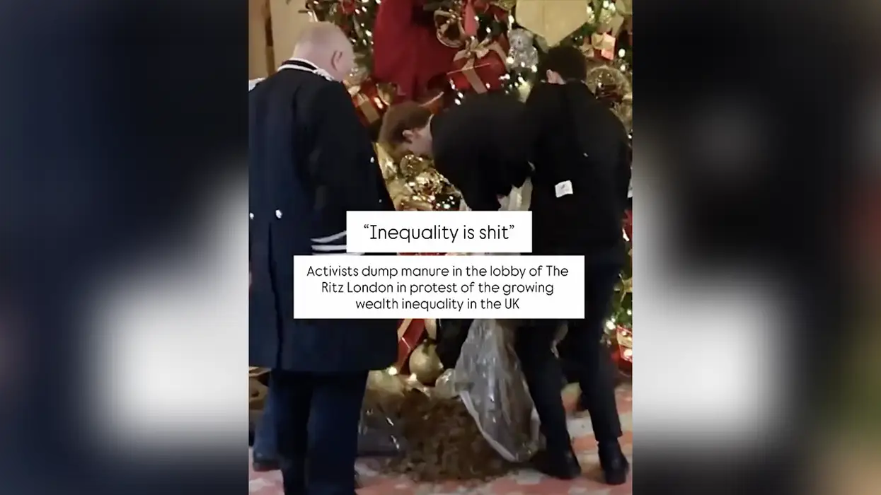 Activists protest people having more money than them by dumping manure on a hotel Christmas tree