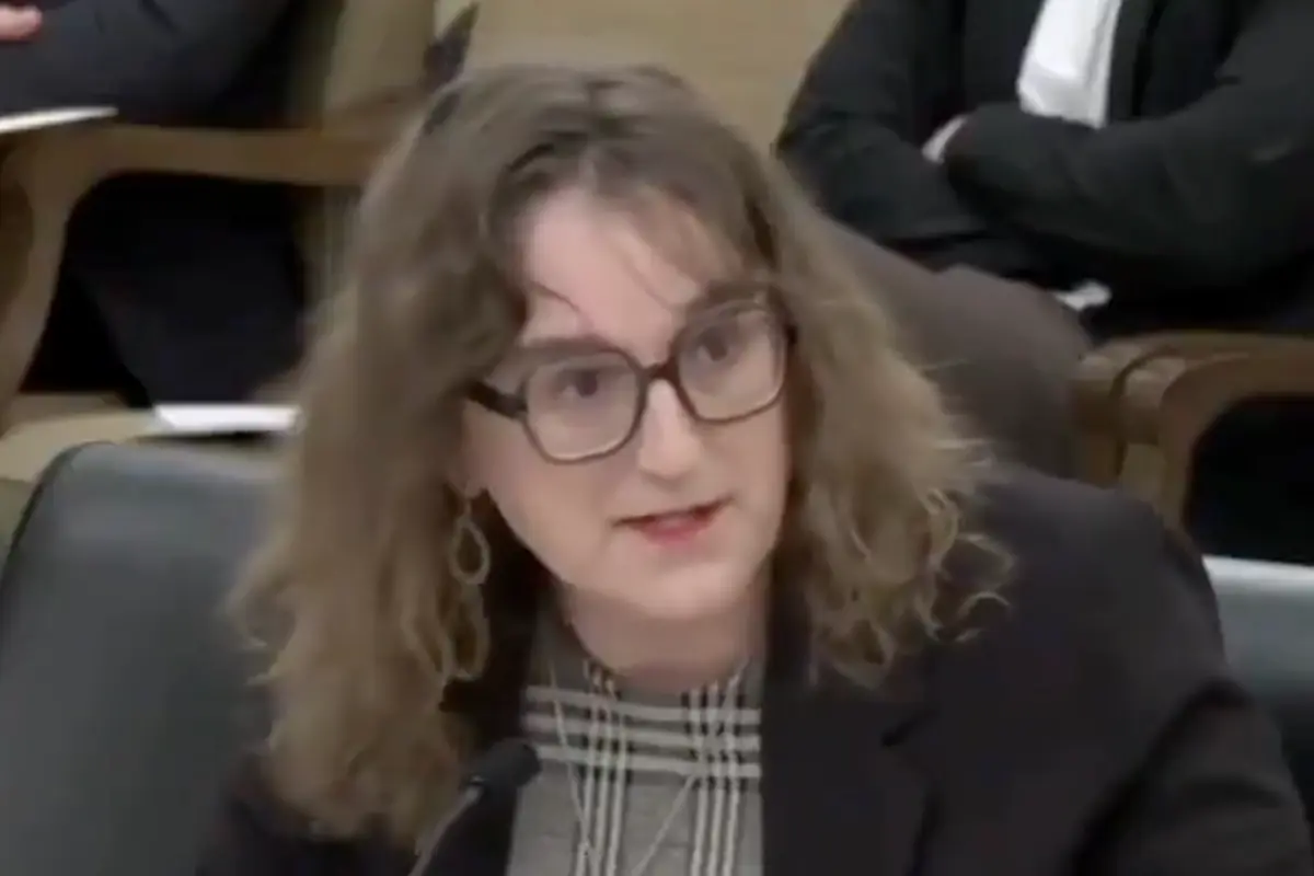 Democrat Rep wants a carve-out for queer students in an anti-porn bill, claiming it's "educational" for them