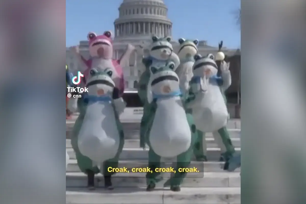 CNN interviews "Slurmitt," leader of the frogs who protested Trump's SOTU on behalf of the Democrat Party