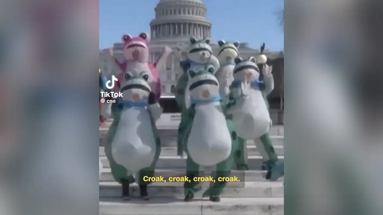 CNN interviews "Slurmitt," leader of the frogs who protested Trump's SOTU on behalf of the Democrat Party