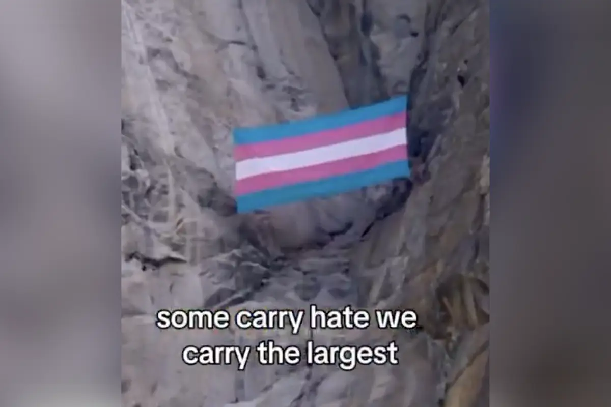 "Nonbinary Bat Biologist" sues Trump Admin after being fired attempting to trans one of our national parks with a flag