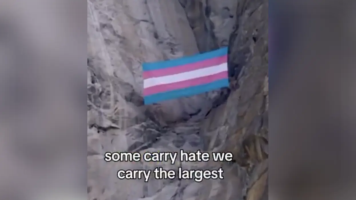 "Nonbinary Bat Biologist" sues Trump Admin after being fired attempting to trans one of our national parks with a flag
