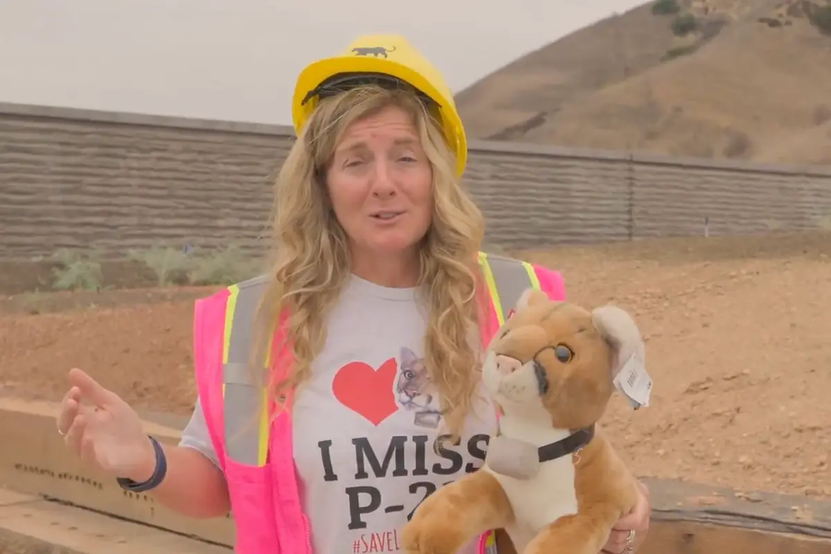 Shocker! Gavin Newsom's California can't build a bridge for butterflies without it being an overbudget boondoggle