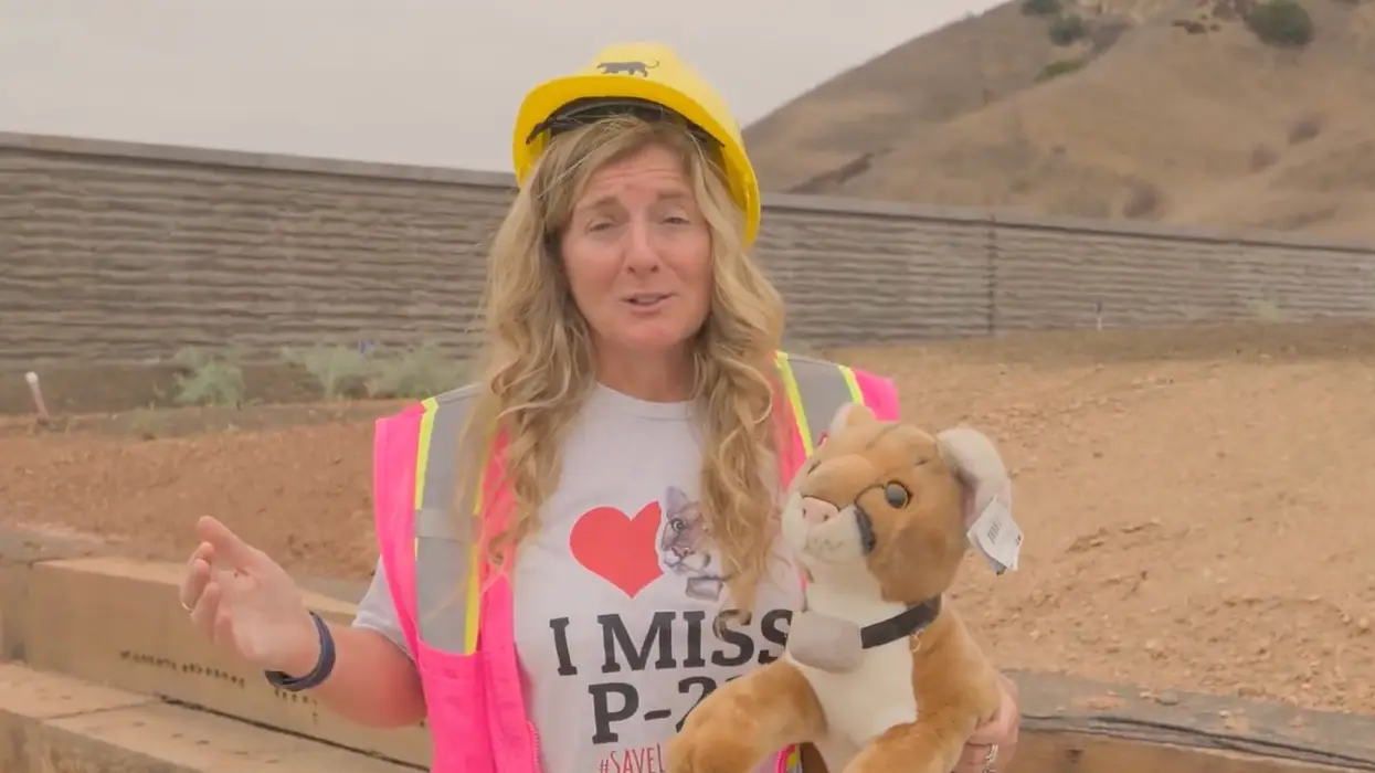 Shocker! Gavin Newsom's California can't build a bridge for butterflies without it being an overbudget boondoggle