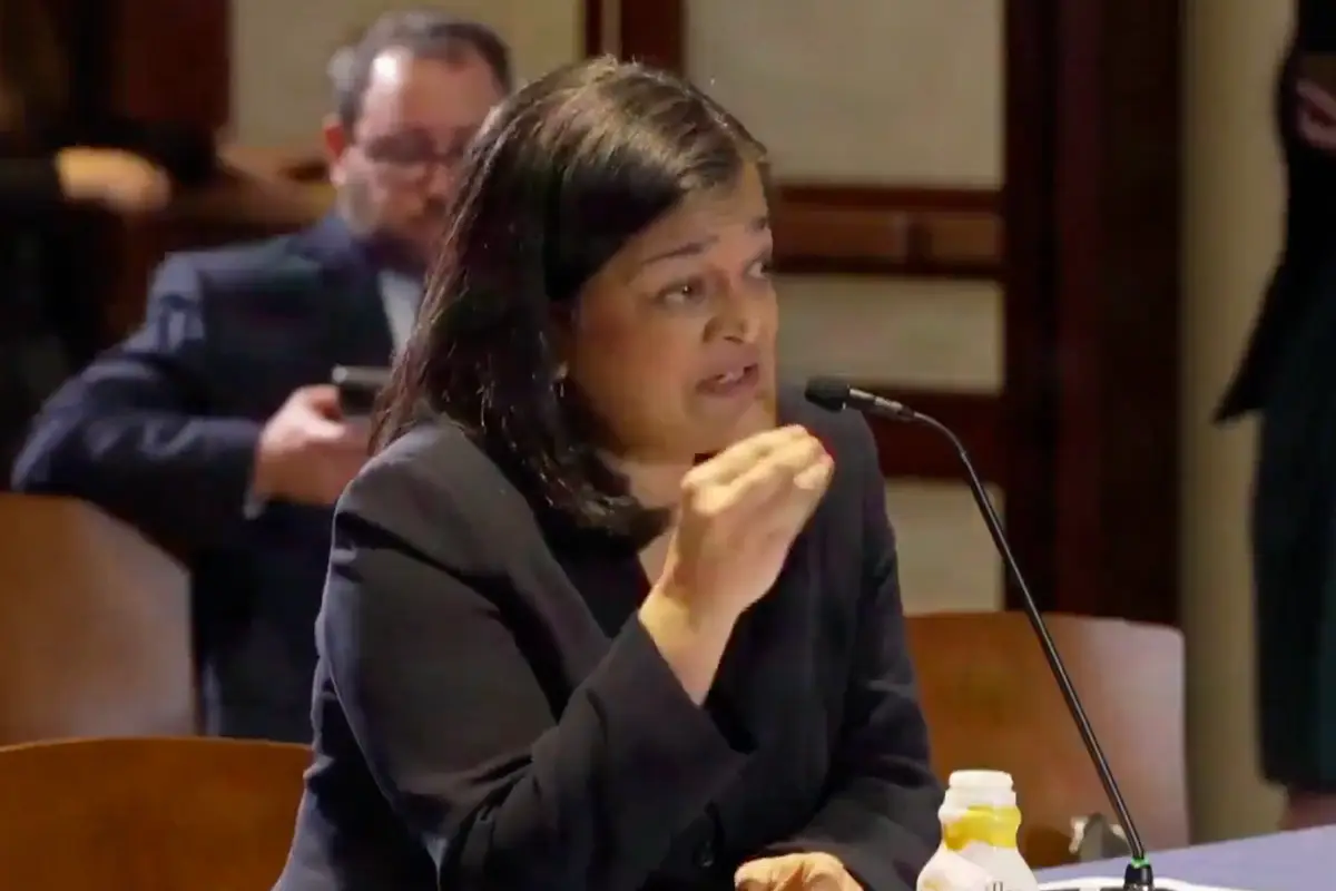 Foreign-born Democrat congresswoman demands reparations for (checks notes) illegal immigrants