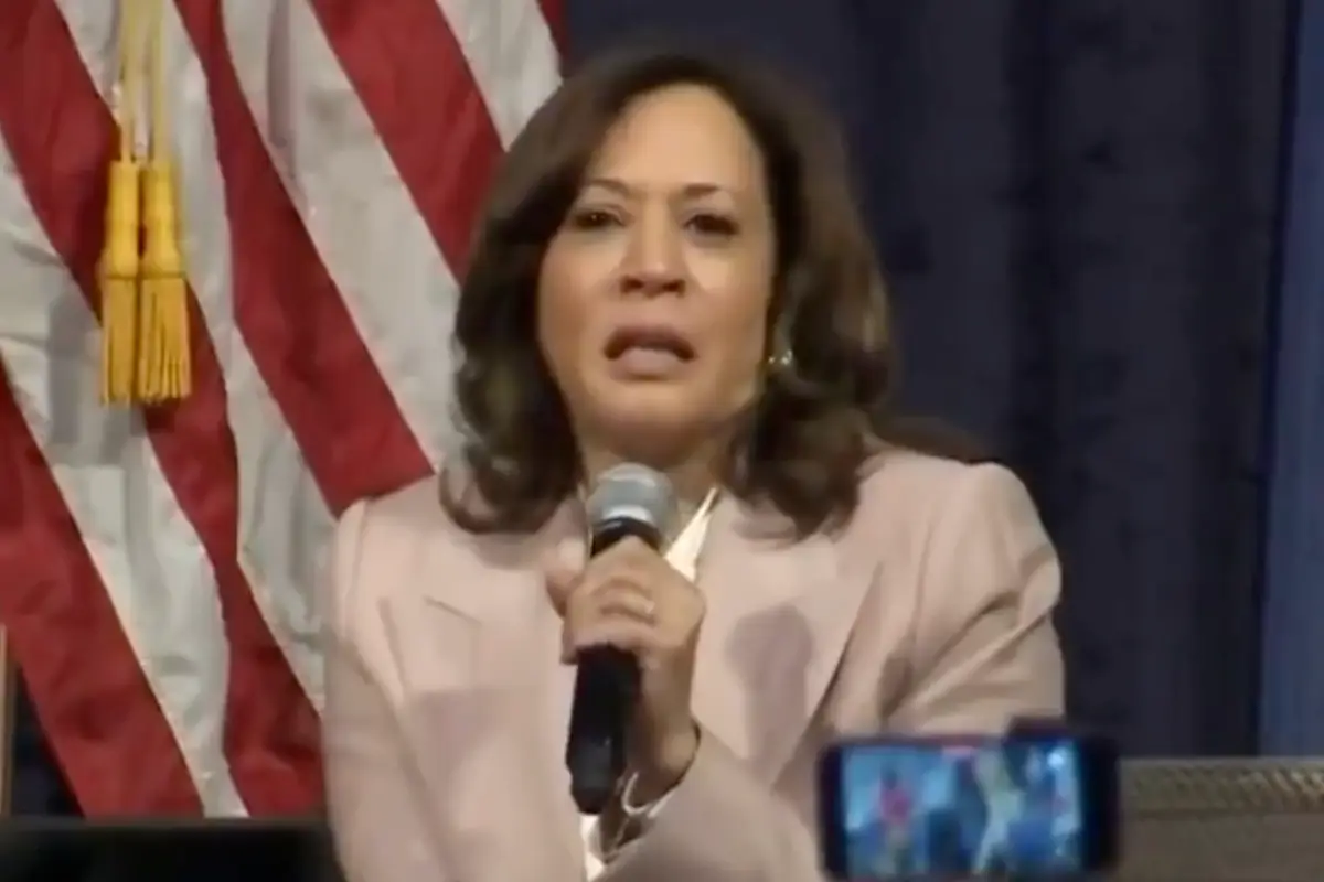 Woman who Donald Trump destroyed in Election 2024 goes on rant that he's "incompetent" or something