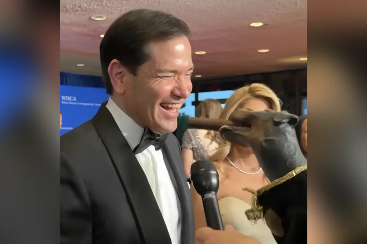Marco Rubio assaults a dog hand puppet, and he may have just become the 2028 frontrunner