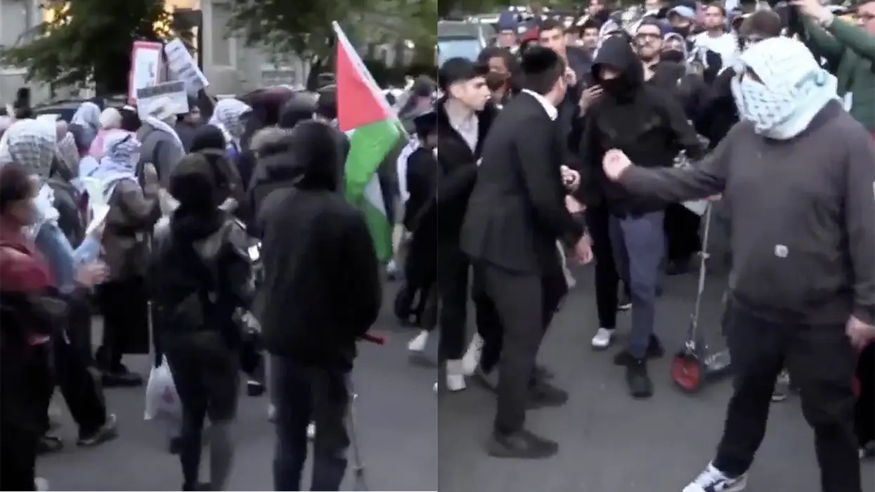 Another day, another mob of pro-Hamas progressives assaulting Jewish kids in Zohran Mamdani's NYC