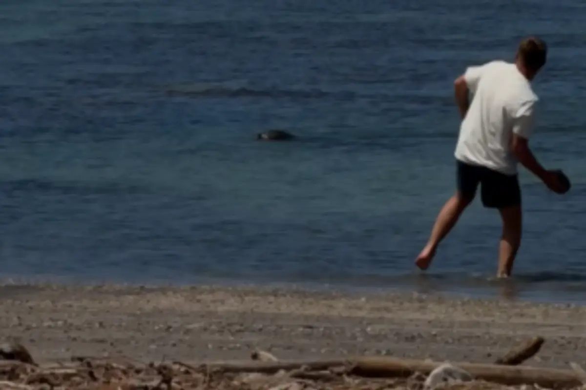 Dude thought he could get away with abusing a seal because he was rich, but the DOJ had different plans for him