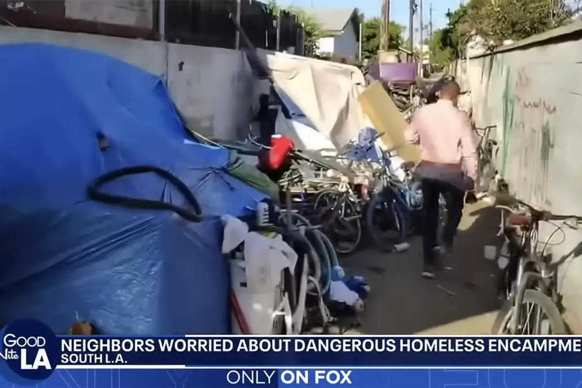 Homeless encampment behind eldery man's home has overgrown to be a safety concern, Karen Bass's LA refuses to take action