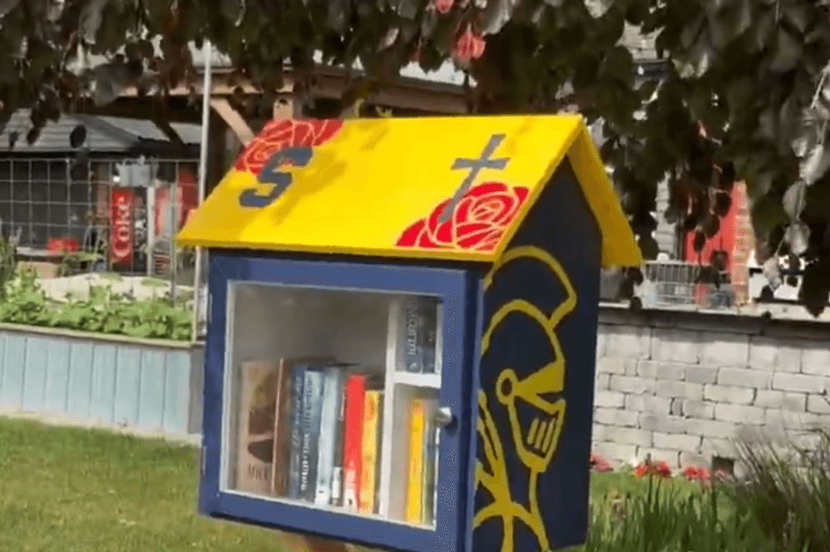 AWFL mom infests free neighborhood library with leftist propoganda, all over a single Trump flag
